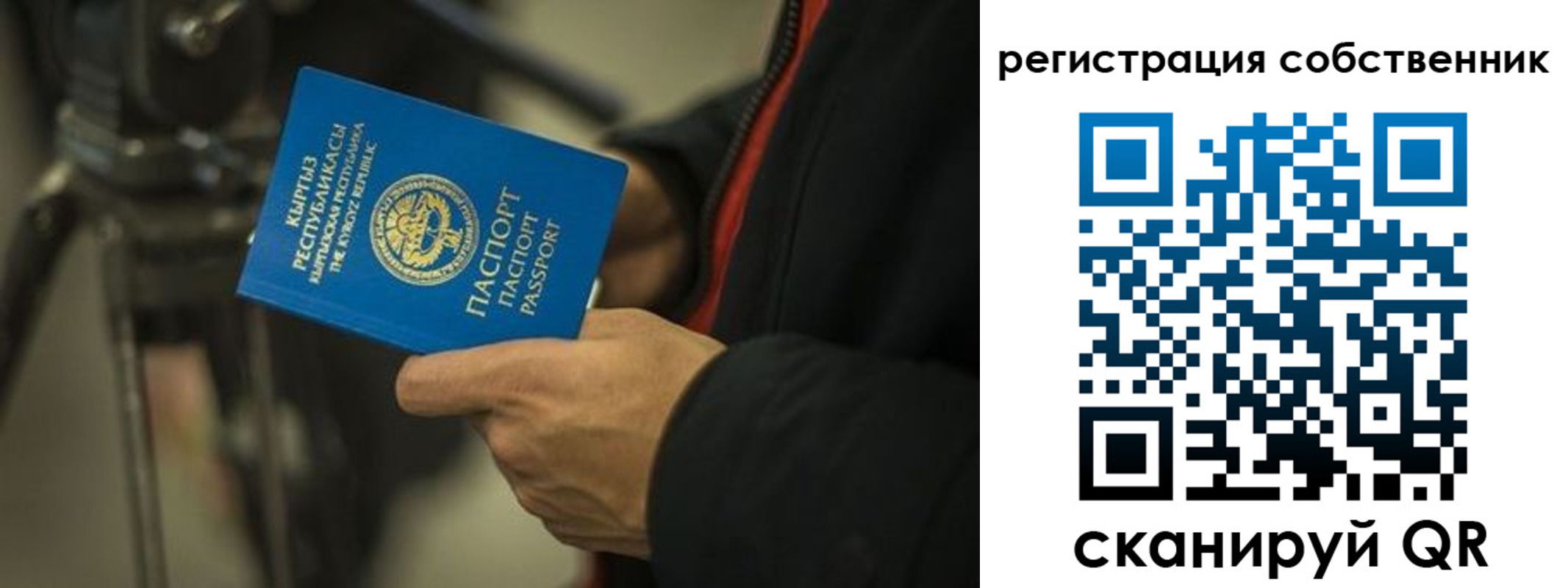 временная регистрация поиск в Калаче-на-Дону